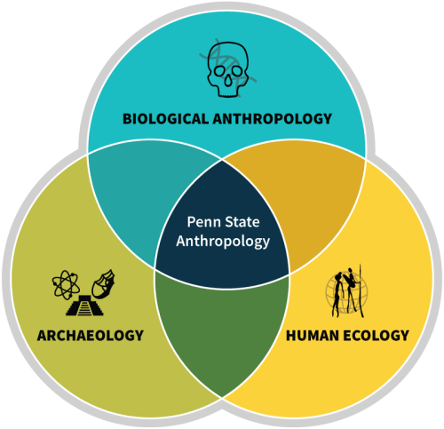 VennDiagram-800